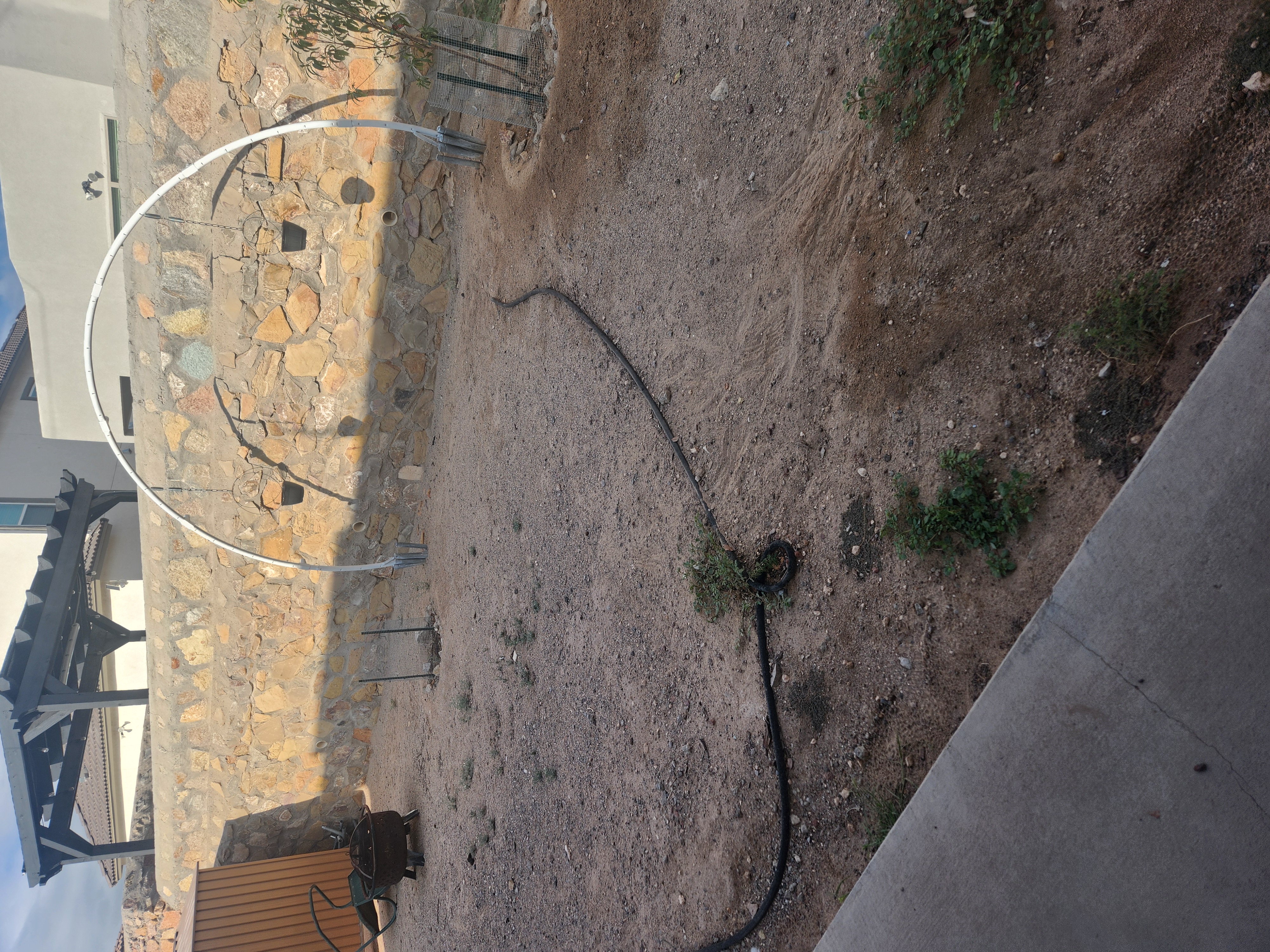 Cochi Backyard